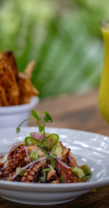 Un plato con granos y vegetales en una mesa del restaurante.